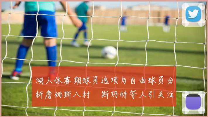 湖人休赛期球员选项与自由球员分析詹姆斯八村塁斯玛特等人引关注